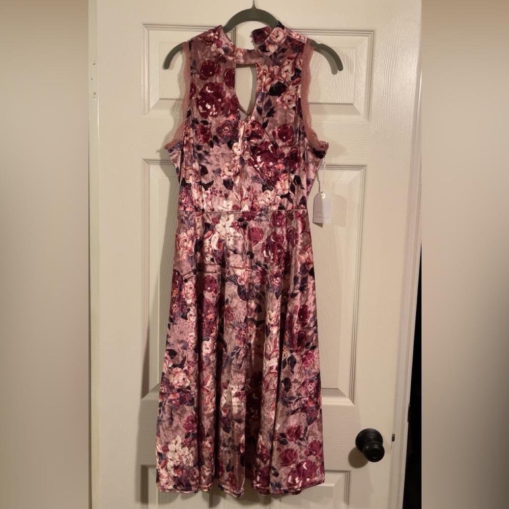 NWT Beautiful velvet pink dress coco + jaimeson size m